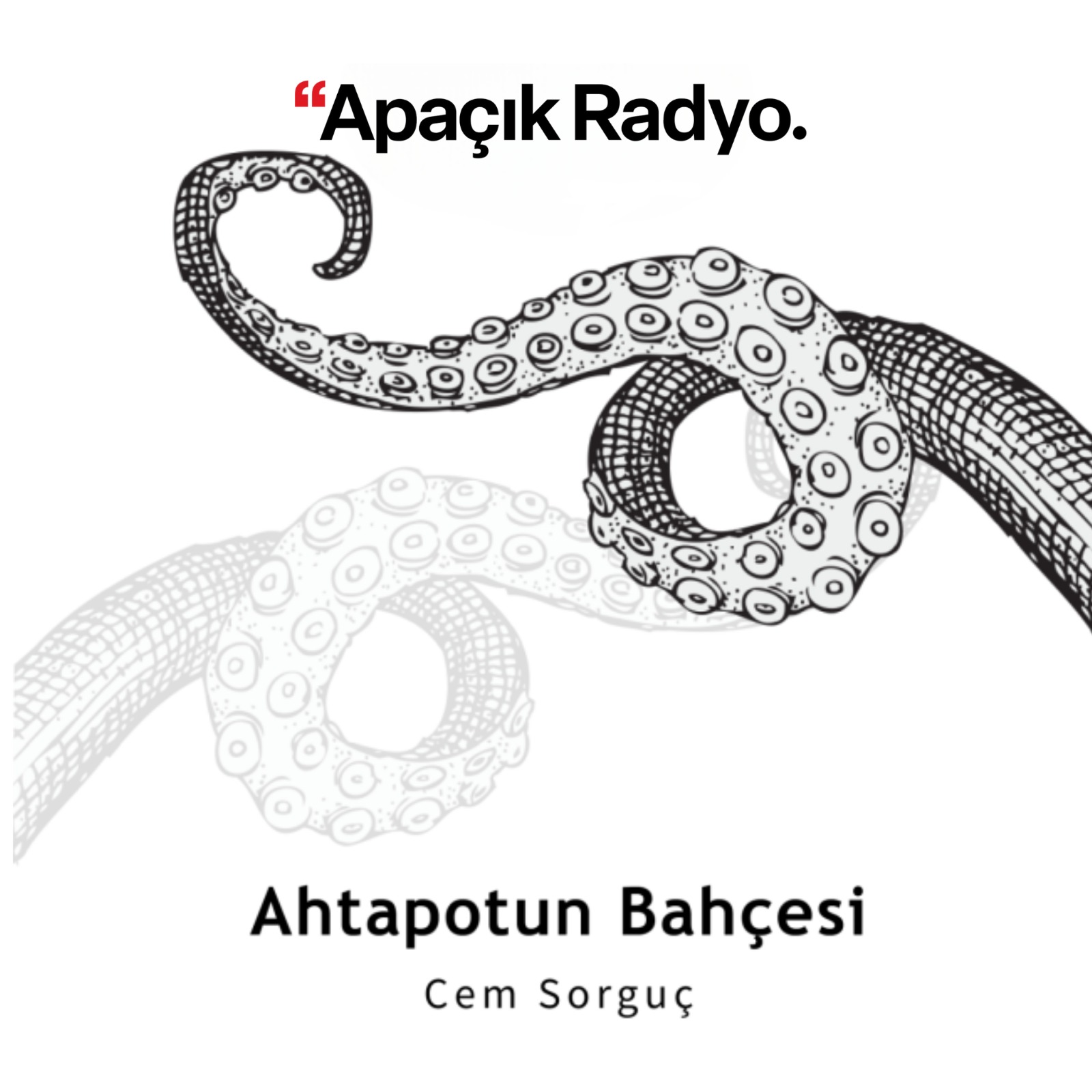 Ahtapotun Bahçesi