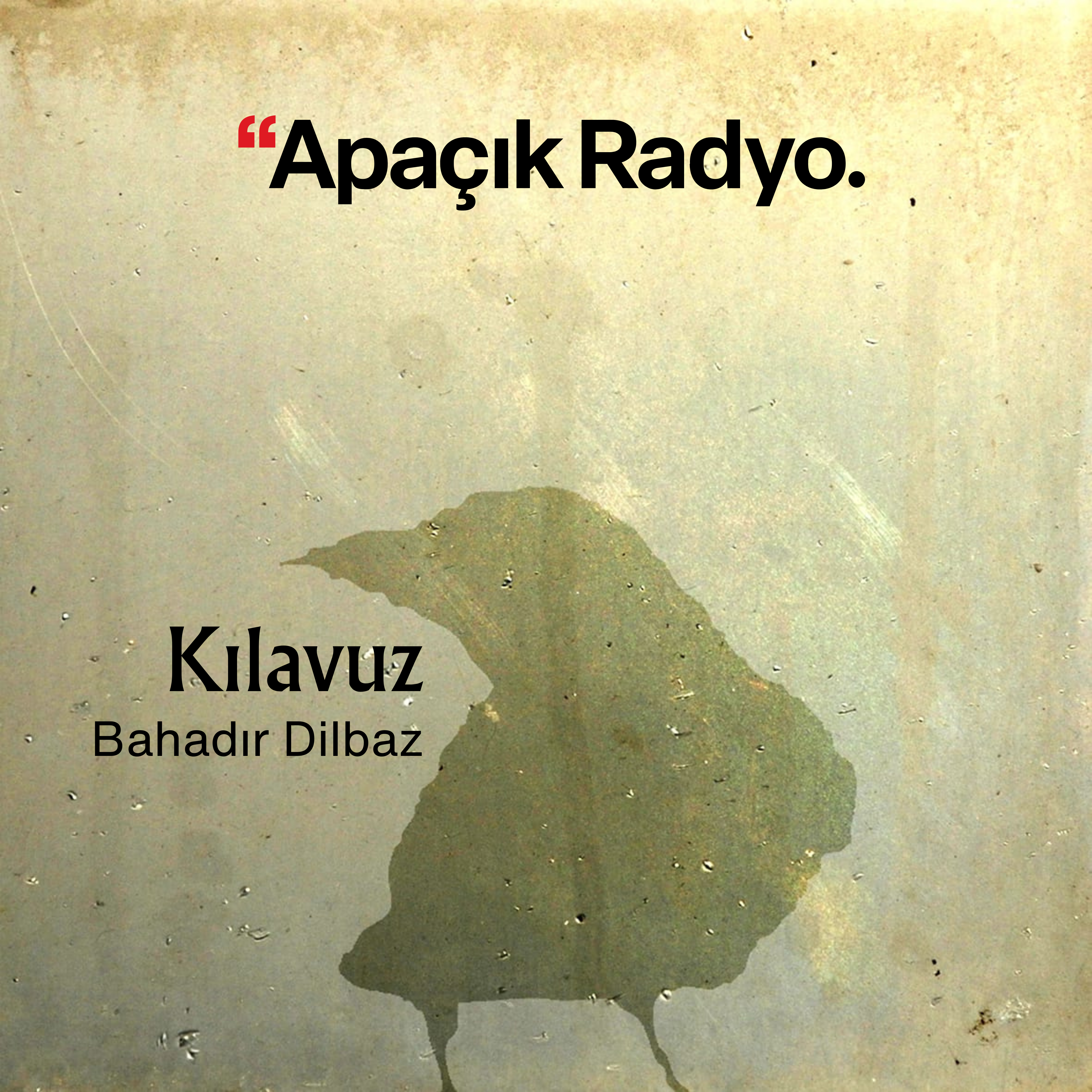 Kılavuz