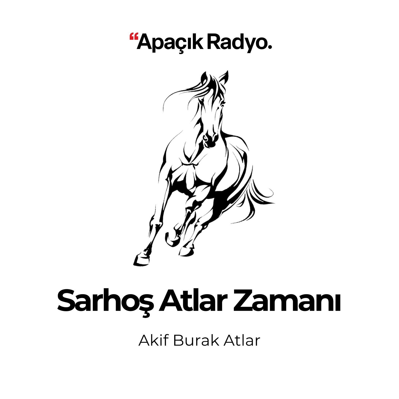 Sarhoş Atlar Zamanı