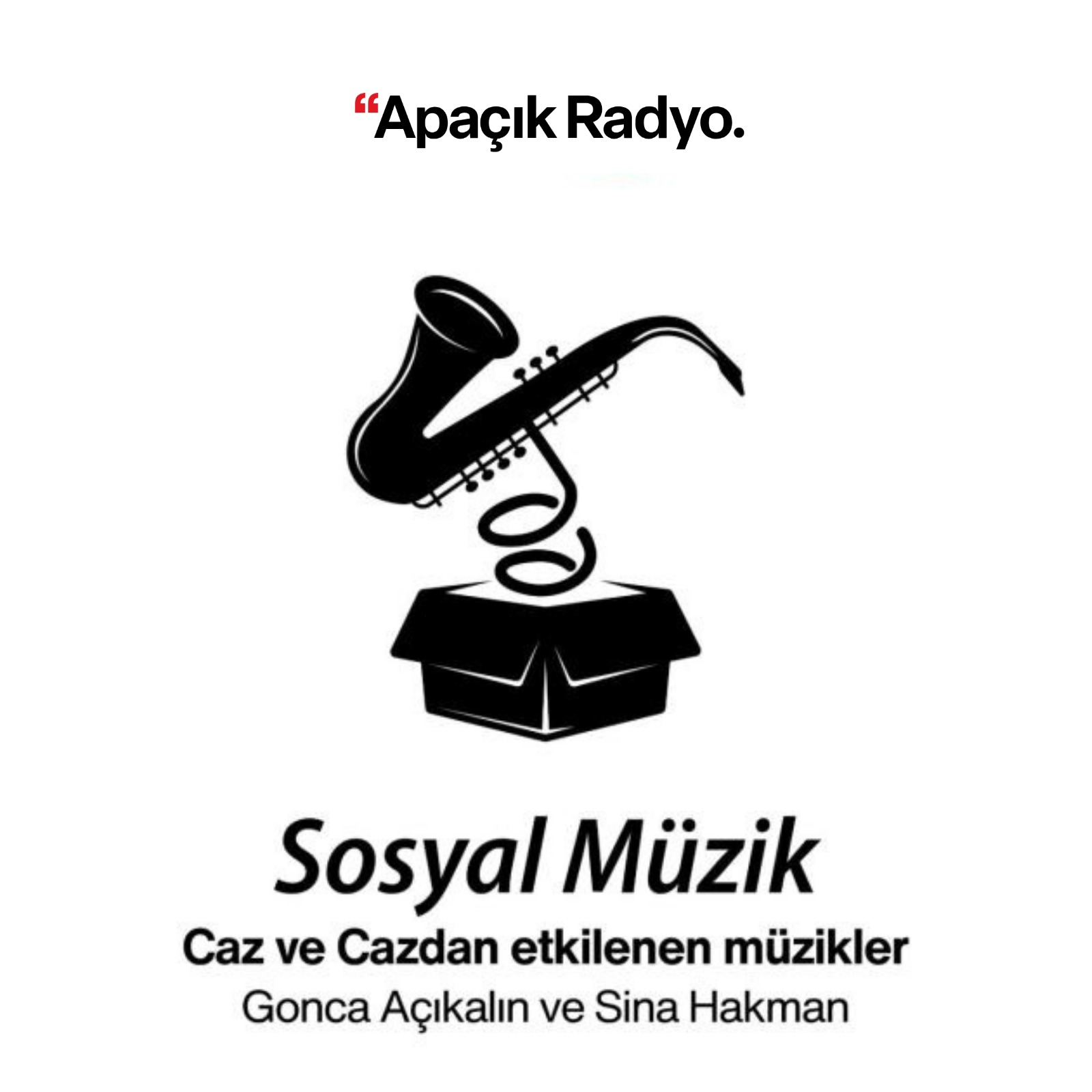 Sosyal Müzik