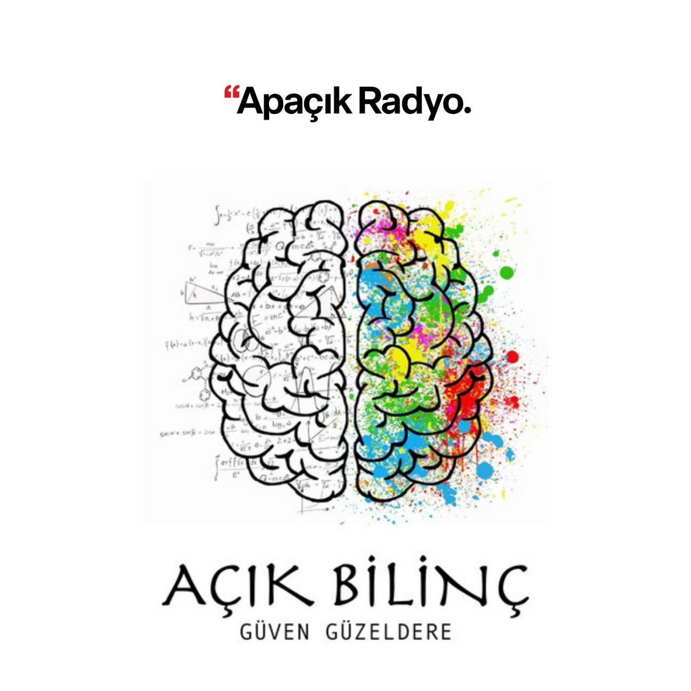 Ressamın İsyanı - Açık Bilinç