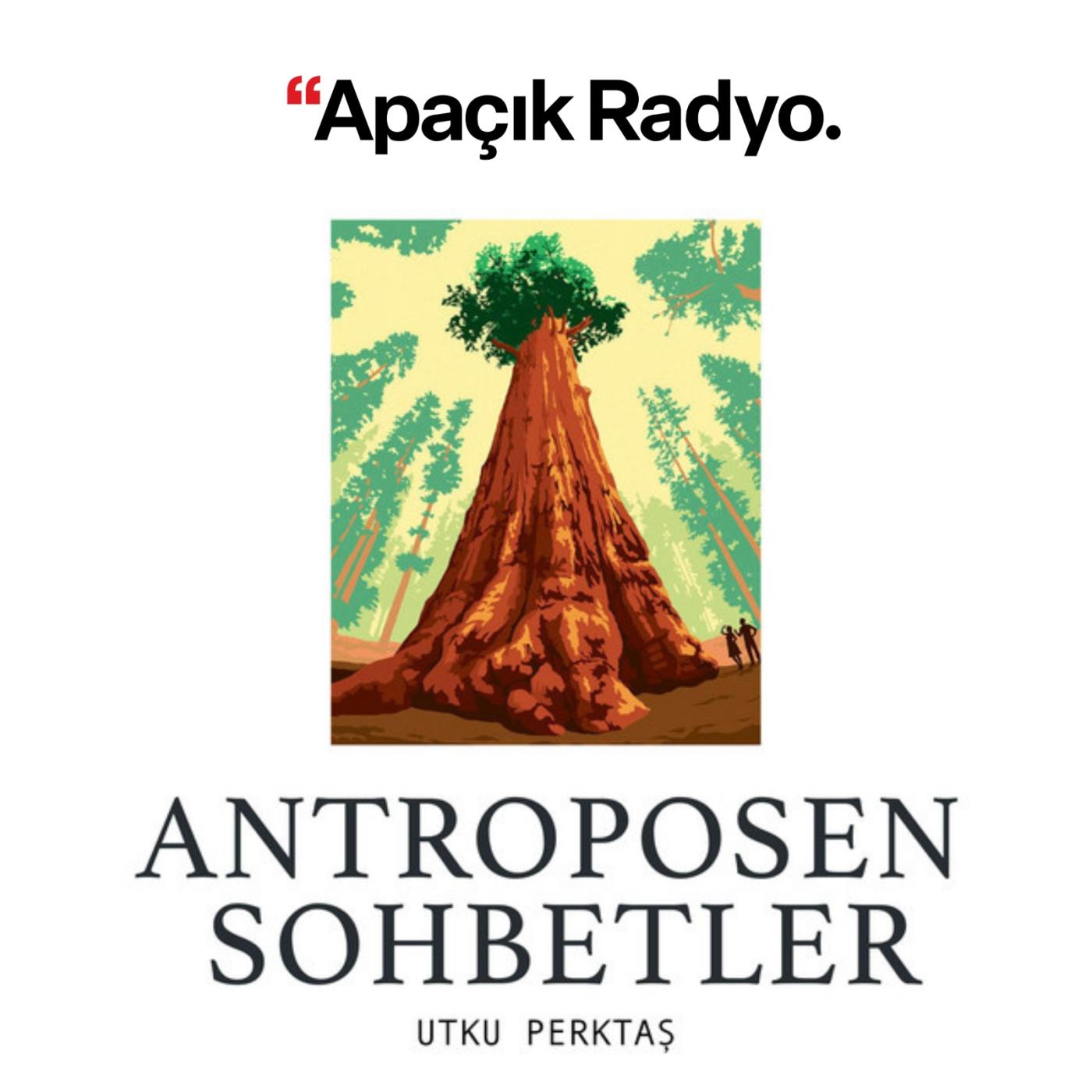 Antroposen Sohbetler Antroposen Sohbetler