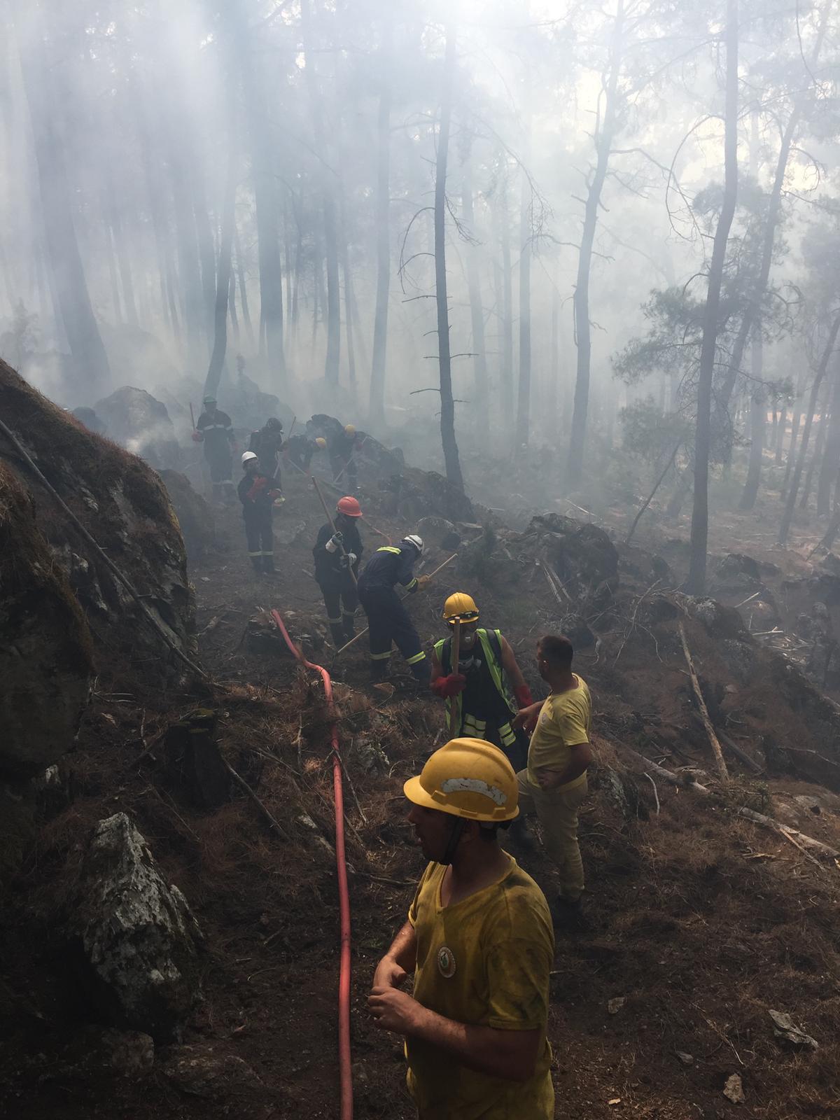 Yangına itfaiye ve gönüllü ekiplerince müdahale
