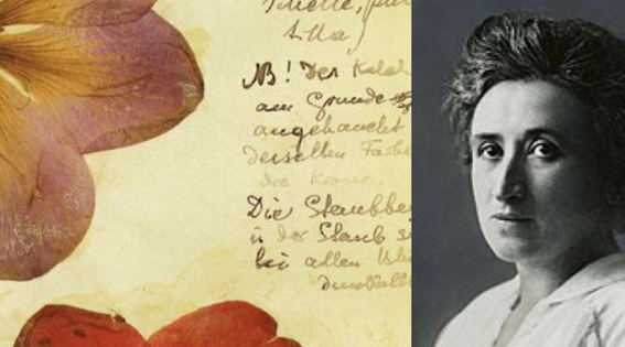 Rosa Luxemburg'un Herbaryumu | Açık Radyo 95.0
