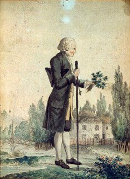 Rousseau elinde çiçek demeti tutuyor. İllüstrasyon