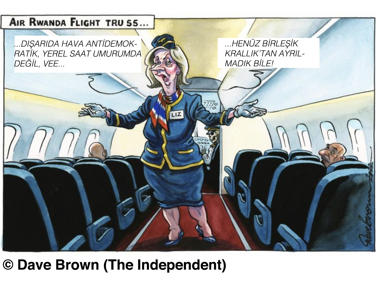 Brown'ın karikatürü