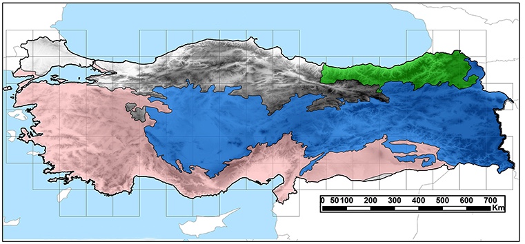 Türkiye, dikkate değer bir biyoiklimsel ve jeomorfolojik çeşitlilik barındırmakta ve çok farklı bitki örtüsü türlerini desteklemektedir (Parolly, 2004). Üç biyocoğrafik bölgenin (Akdeniz, Avrupa-Sibirya ve İran-Turan bölgeleri; Davis, 1971; Takhtajan, 1986) kesiştiği noktada yer almaktadır. Türkiye, küresel olarak en yüksek Endemizm Zenginliğine sahip bölgelerin hiçbirini kapsamasa da (Kier ve diğerleri, 2009), üç küresel biyolojik çeşitlilik sıcak noktasında yer almaktadır (Akdeniz, Kafkas ve İran-Anadolu biyolojik çeşitlilik sıcak noktaları; Mittermeier ve diğerleri, 2005). Bu, Türkiye'nin yüzölçümünün yüzde 80'inden fazlasını kaplamaktadır (açık pembe: Akdeniz, yeşil: Kafkaslar, mavi: İran-Anadolu).