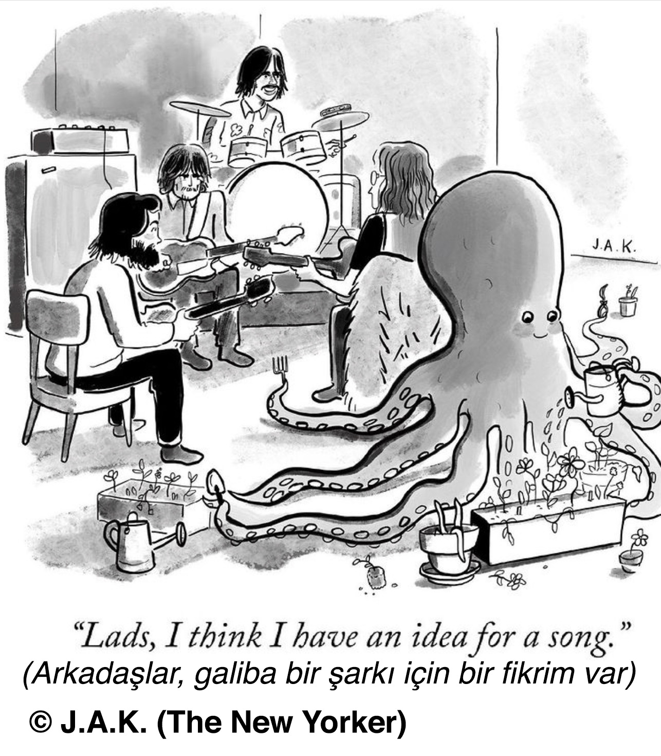 J.A.K.'nin Bir Fikrim Var karikatürü 