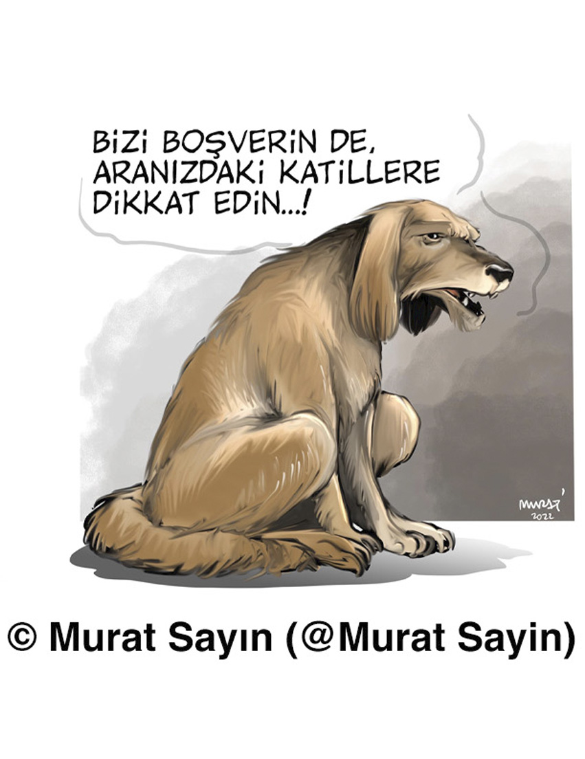 Murat Sayın