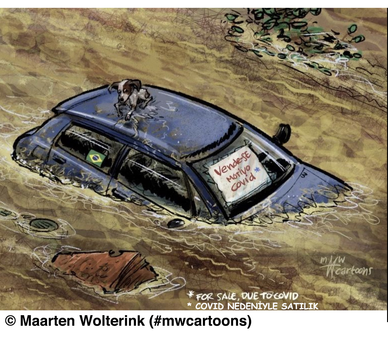 Wolterink'in karikatürü