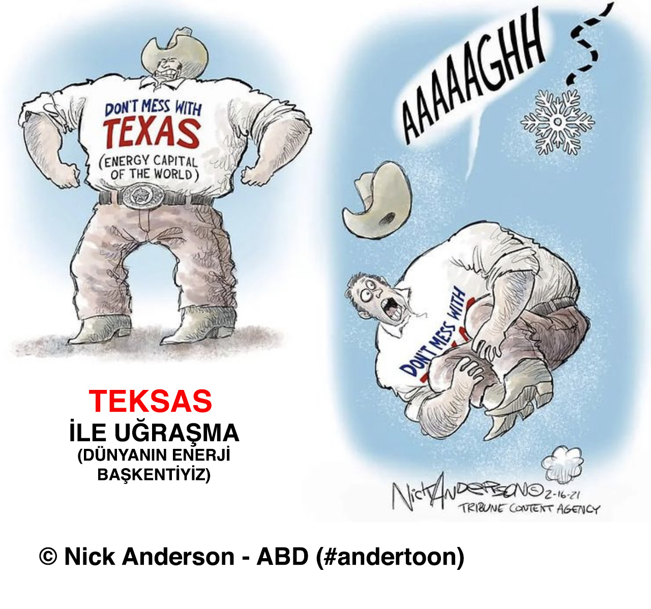 Anderson'ın karikatürü