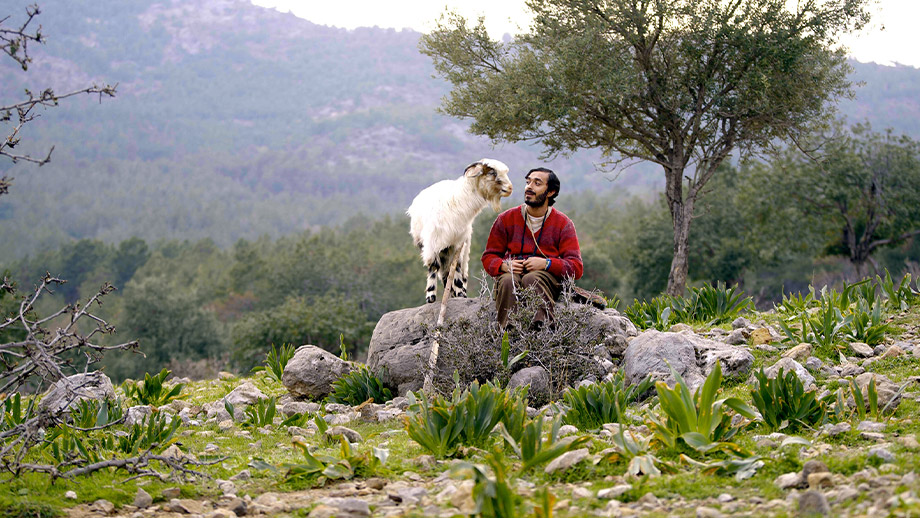Turna Misali'nden bir sahne. Adamla keçi dağ başında kayalarda oturup birbirilerine bakıyorlar. 
