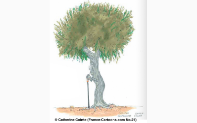 Cointe'in Zeytin Ağacı karikatürü