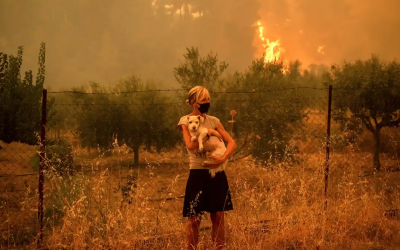 Fotoğraf: Angelos Tzortzinis/AFP/Getty Images