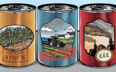 Kingsley Nebechi, The Guardian