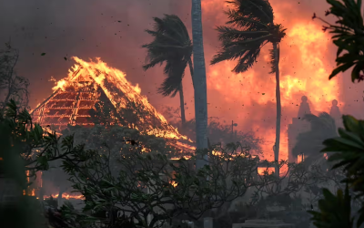 “Maui’nin geleceği için verilen mücadele şiddetlenmek üzere ve özünde bunun sebebi yangın değil tümüyle farklı bir unsur: Su.”   Fotoğraf: Matthew Thayer / AP