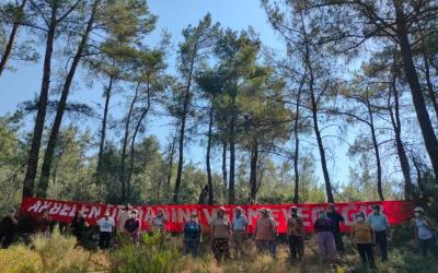 Fotoğraf: Medyascope