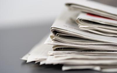 Fotoğraf: Mike van Schoonderwalt