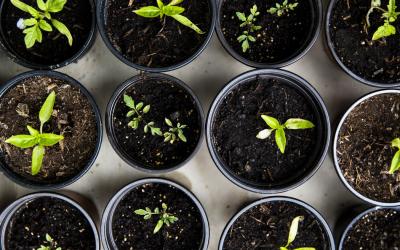 markus-spiske-unsplash