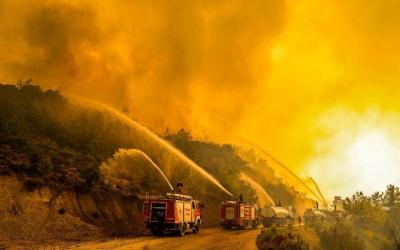 Manavgat Yangını, itfaiyeler su fışkırtıyor. 