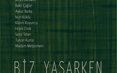 Biz yaşarken kitap kapağı