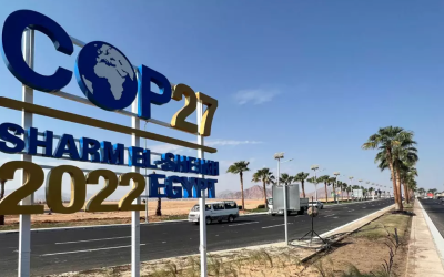 Fotoğraf: Sayed Sheasha