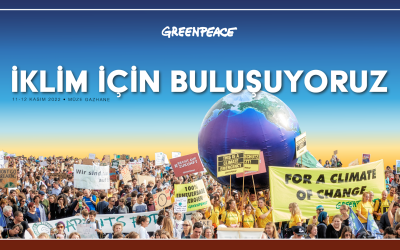 Görsel: Greenpeace Türkiye