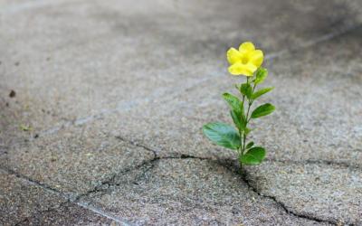 ""