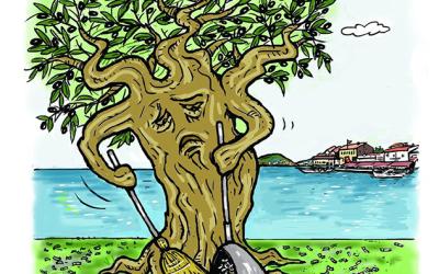Zeynep Gargi'nin karikatürü