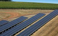 Elektron pazarı öngörülebilir, bu da tarım arazilerine kurulan güneş panellerinin çiftçiler için oldukça istikrarlı bir gelir sağlayabileceği anlamına geliyor. (Fotoğraf: George Rose / Getty)