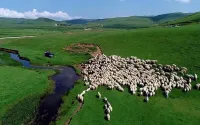 ""