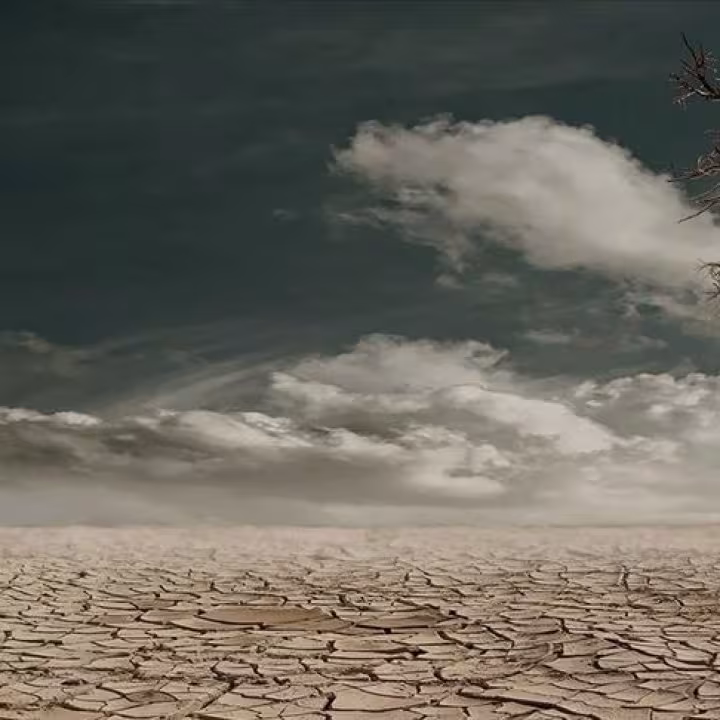 08 Temmuz 2025: G&uuml;n&uuml;n S&ouml;z&uuml;