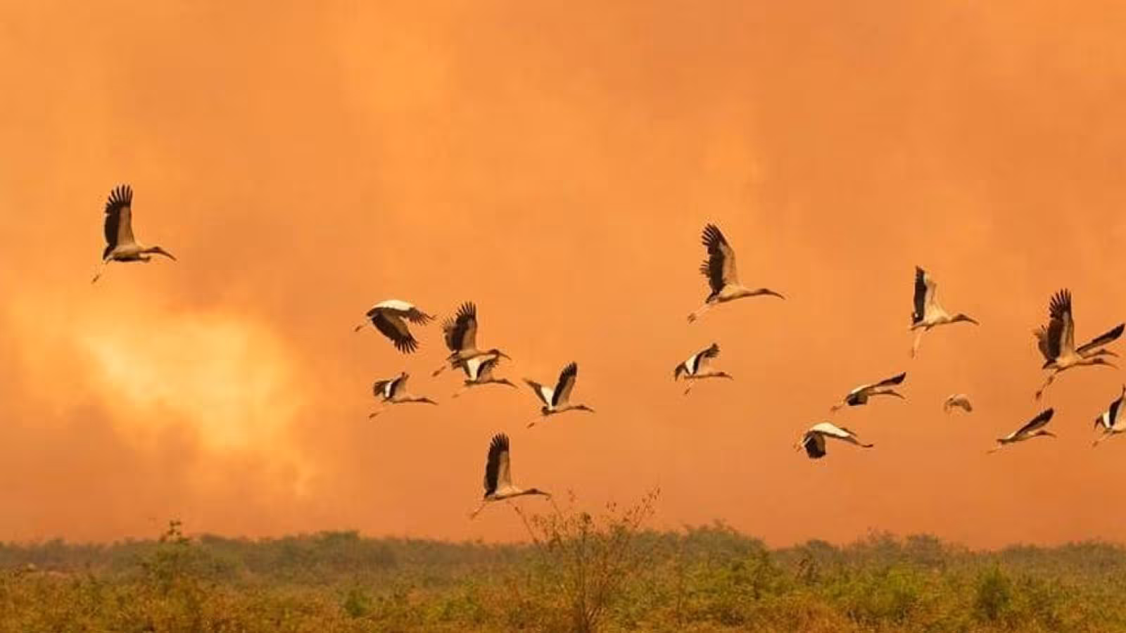""