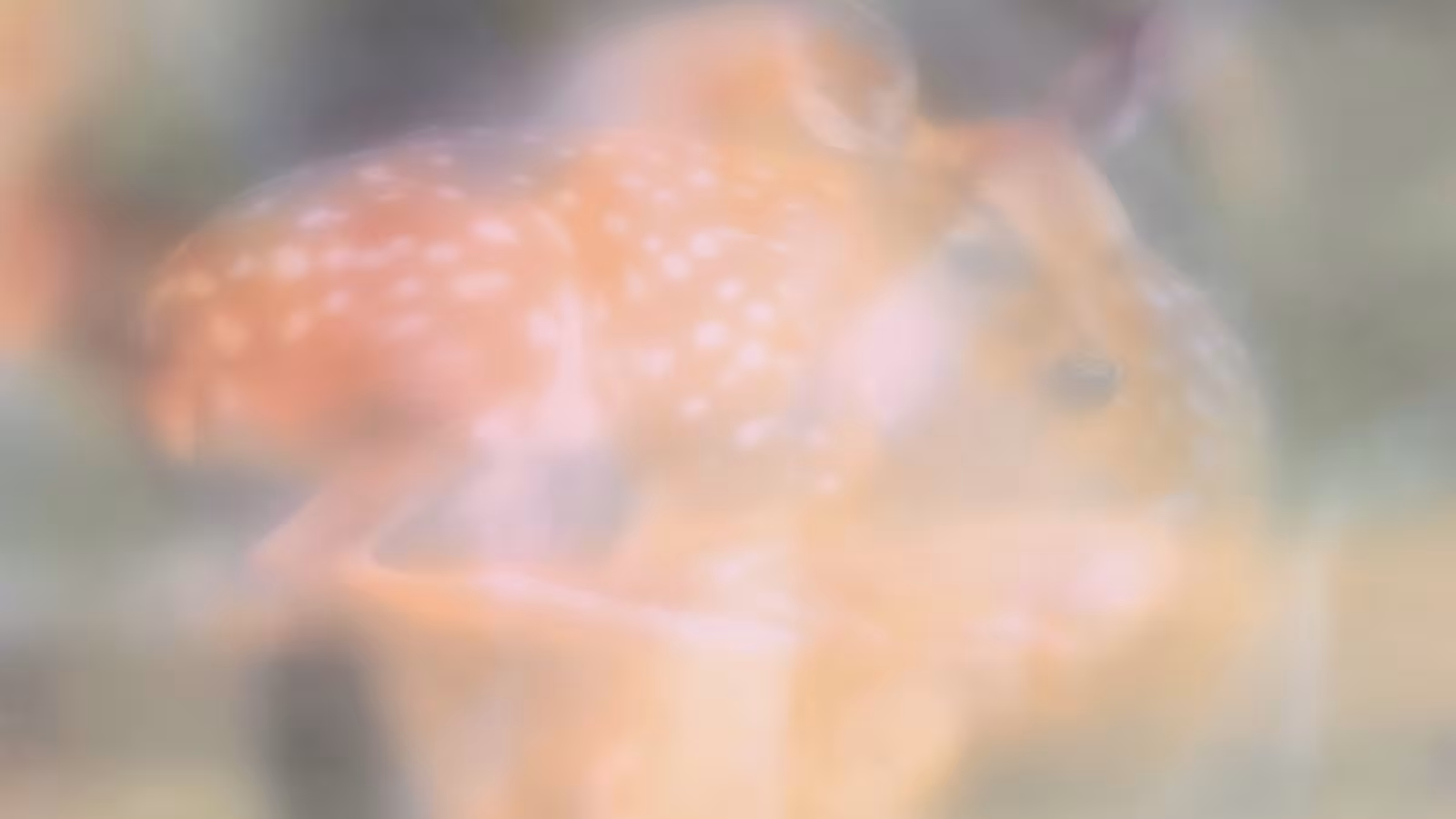 ""