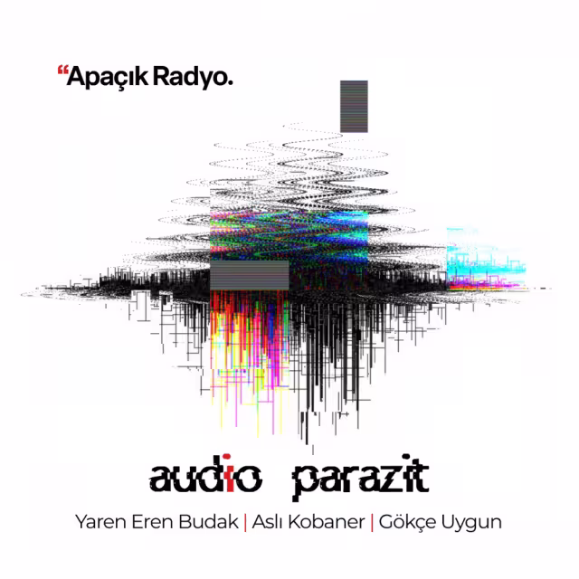 Audio Parazit