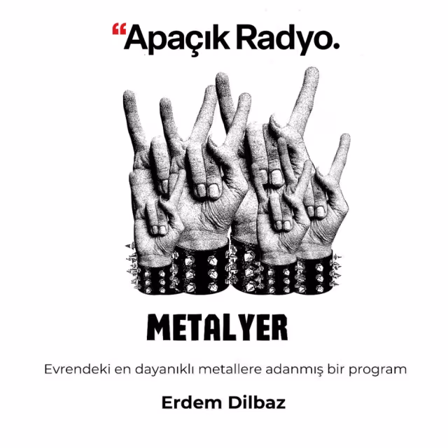 Metalyer