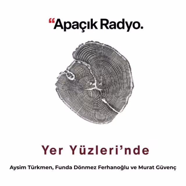 Yer Y&uuml;zleri'nde