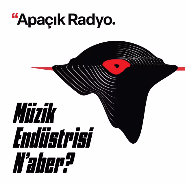 Müzik Endüstrisi Naber?