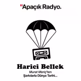 Harici Bellek