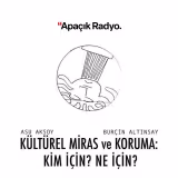 K&uuml;lt&uuml;rel Miras Ve Koruma: Kim İ&ccedil;in? Ne İ&ccedil;in?