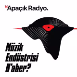 Müzik Endüstrisi Naber?