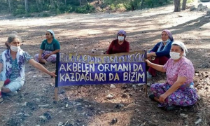 Akbelen Ormanı'nda eylem yapan kadınlar