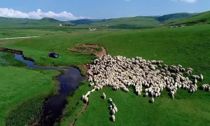""