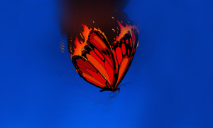 kanatları yanarken düşmekte olan kelebek illüstrasyonu