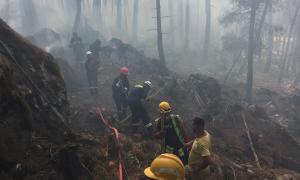 Yangına itfaiye ve gönüllü ekiplerince müdahale