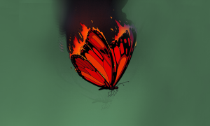 kanatları yanarken düşmekte olan kelebek illüstrasyonu