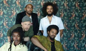 Irreversible Entanglements