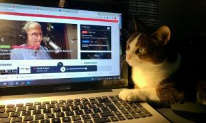 Açık Radyo web sayfası ana sayfa açık laptop ve bakan kedi