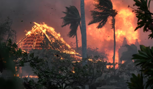 “Maui’nin geleceği için verilen mücadele şiddetlenmek üzere ve özünde bunun sebebi yangın değil tümüyle farklı bir unsur: Su.”   Fotoğraf: Matthew Thayer / AP