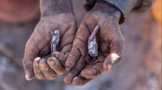 Fotoğraf: TSIORY ANDRIANTSOARANA/WFP